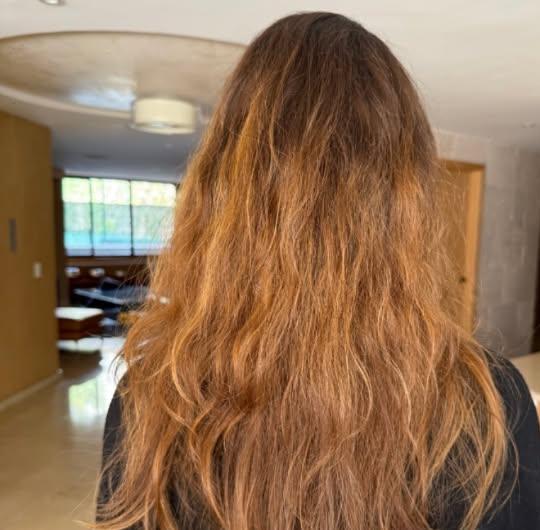 Cabello opaco antes de la hidratación, visto de espaldas